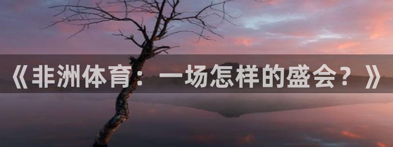 bbin视讯游戏平台：《非洲体育：一场怎样的盛会？》