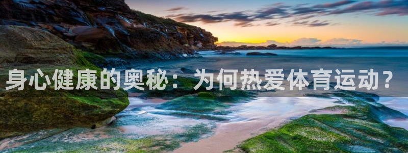 bbin视讯游戏官网：身心健康的奥秘：为何热爱体育运动？