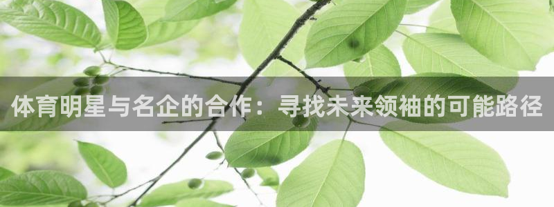 bbin视讯游戏官网：体育明星与名企的合作：寻找未来领袖的可能路径