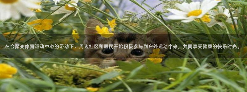bbin视讯游戏平台：在合聚变体育运动中心的带动下，周边社区和居民开始积极参与到户外运动中来，共同享受健康的快乐时光。