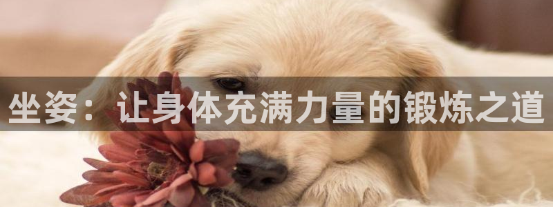 bbin视讯游戏平台：坐姿：让身体充满力量的锻炼之道
