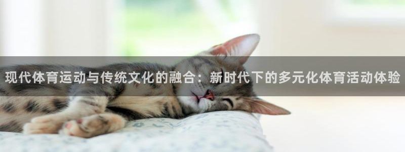 bbin视讯下：现代体育运动与传统文化的融合：新时代下的多元化体育活动体验