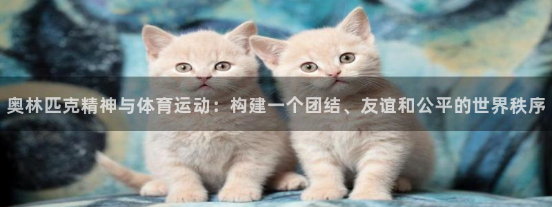 bbin视讯下：奥林匹克精神与体育运动：构建一个团结、友谊和公平的世界秩序