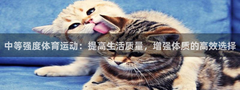 bbin视讯游戏官网：中等强度体育运动：提高生活质量，增强体质的高效选择