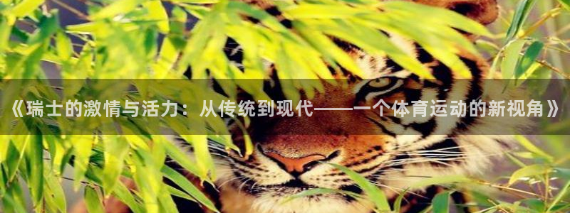 bbin视讯游戏官网：《瑞士的激情与活力：从传统到现代——一个体育运动的新视角》